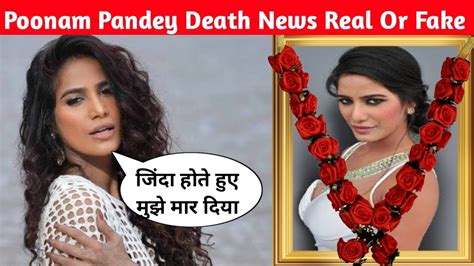 punam pandey|Poonam Pandey Death News: Poonam Pandey passes away to。